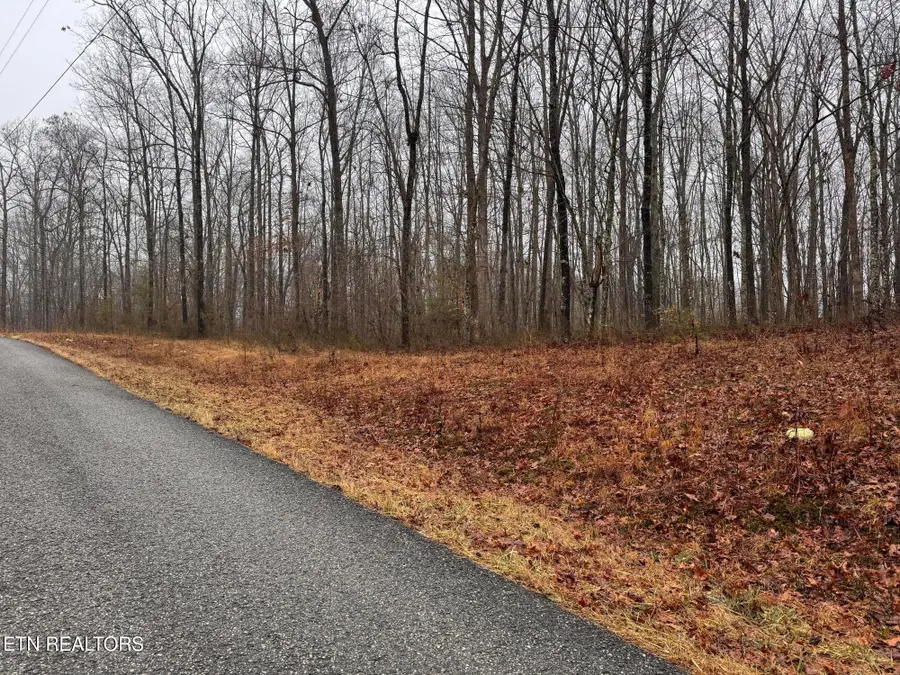 Arbutus Trail (aka Silcox Ford Rd S/0), Helenwood, TN 37755 - Image #2