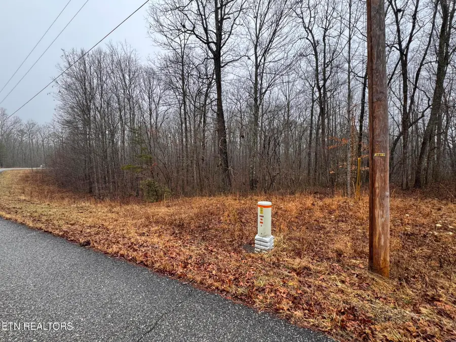 Arbutus Trail (aka Silcox Ford Rd S/0), Helenwood, TN 37755 - Image #3