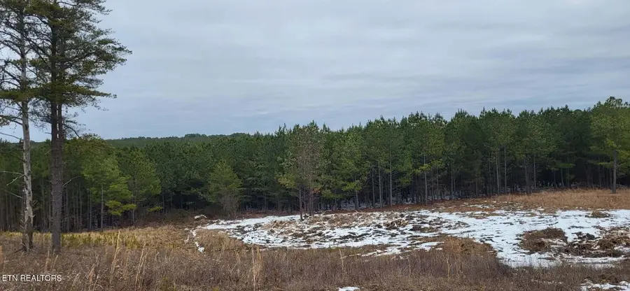 Lot 13 Stirrup Lane Lane, Jamestown, TN 38556 - #3