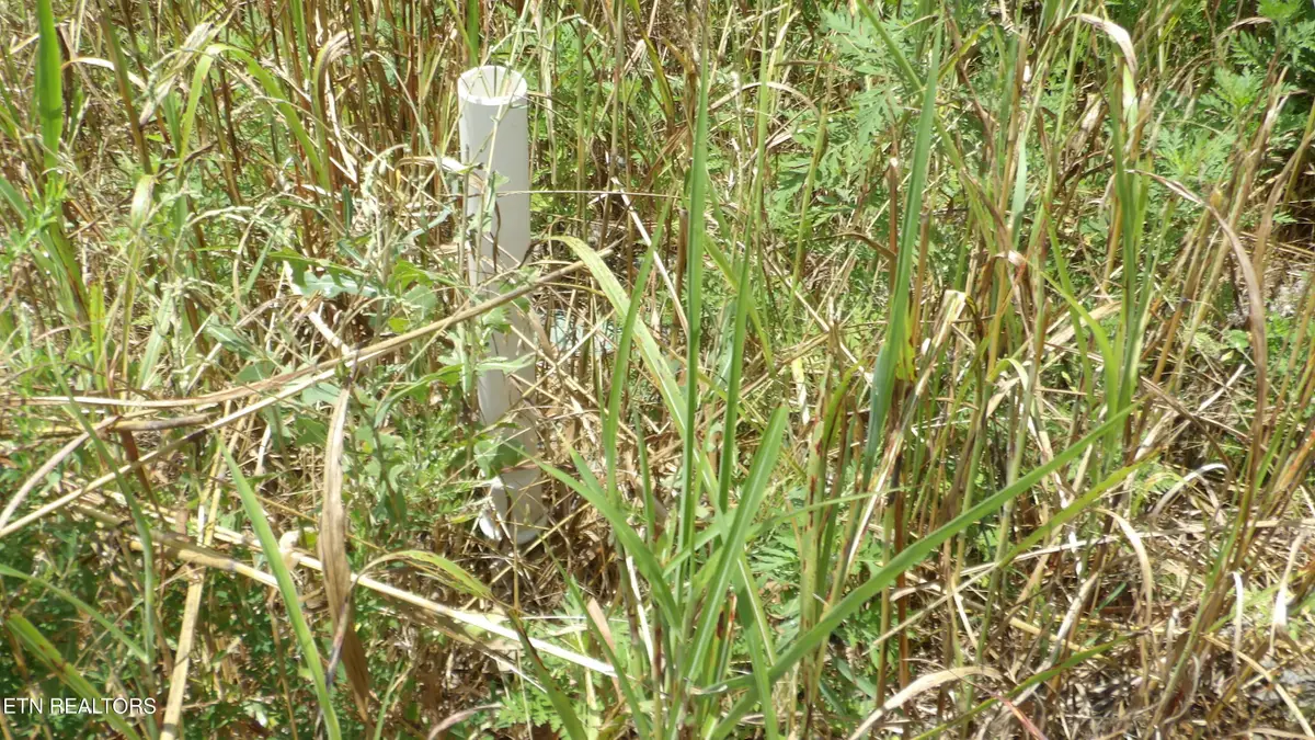 Lot 17D Crappie Lane, Hilham, TN 38568 - #1