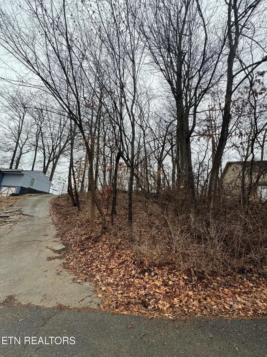 2339 Adams Ave, Knoxville, TN 37917 - #2