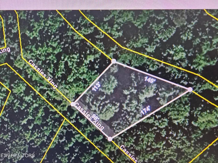 Cassies Xing, Speedwell, TN 37870 - #2