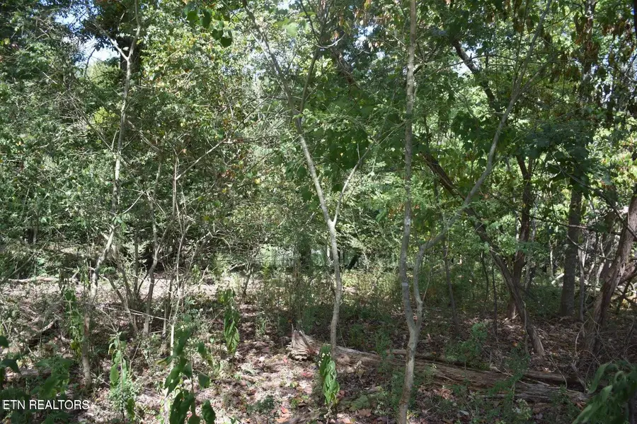 1758 N Wilkerson Rd, Knoxville, TN 37922 - #3