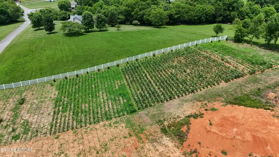 925 Holston Shores Drive, Rutledge, TN 37861 - #2