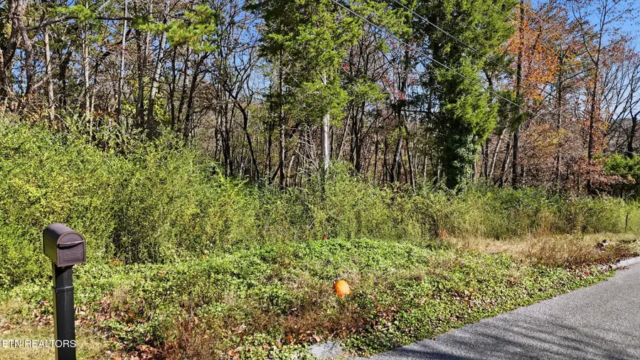 0 Sierra Drive, Dayton, TN 37321 - #2