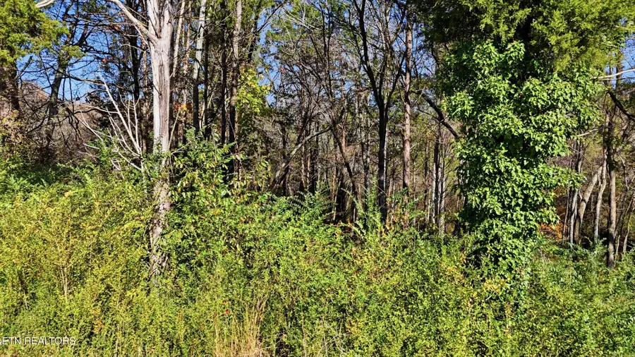 0 Sierra Drive, Dayton, TN 37321 - #3