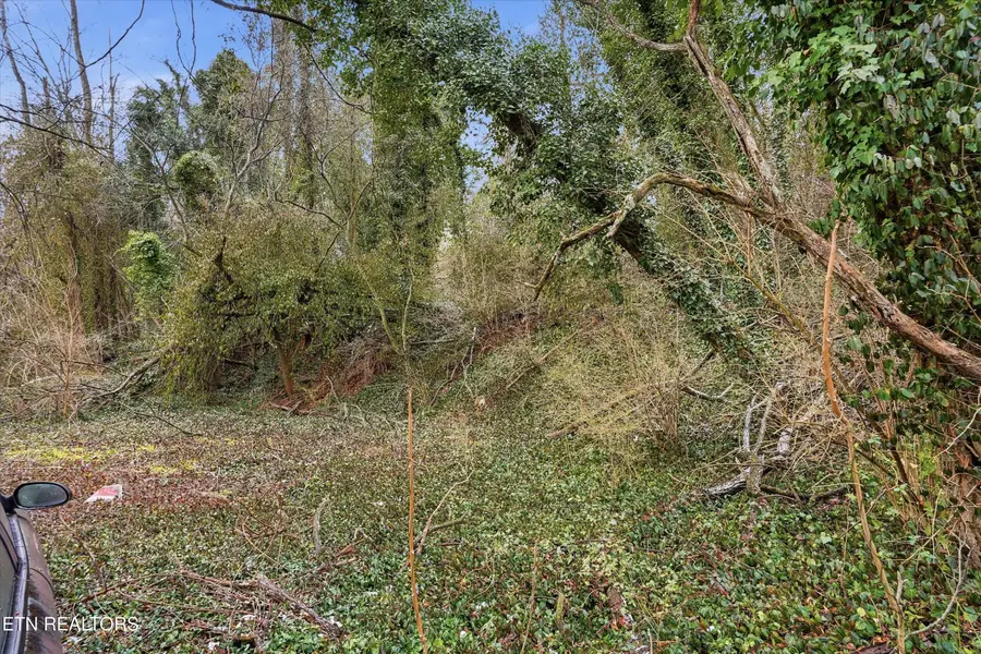 0 Irene Ave, Knoxville, TN 37920 - Image #2