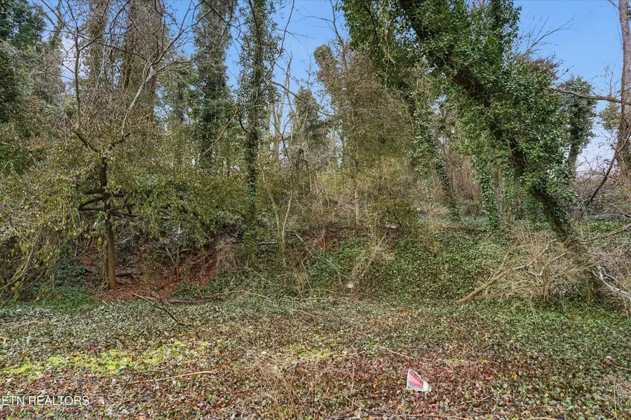 0 Irene Ave, Knoxville, TN 37920 - Image #3