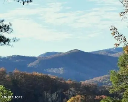 4572 Wilderness Plateau, Pigeon Forge, TN 37863 - #2