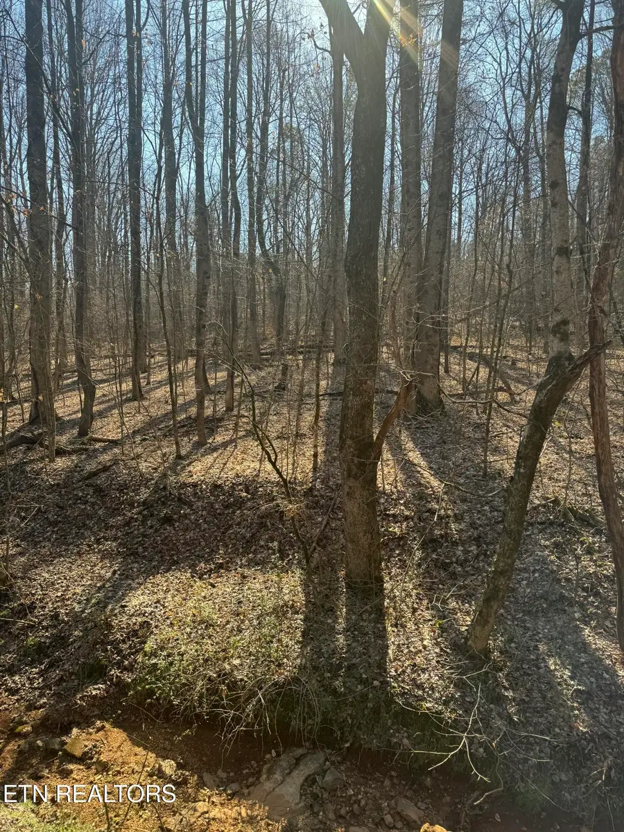 Randolph Fridley Rd, Sweetwater, TN 37874 - #2