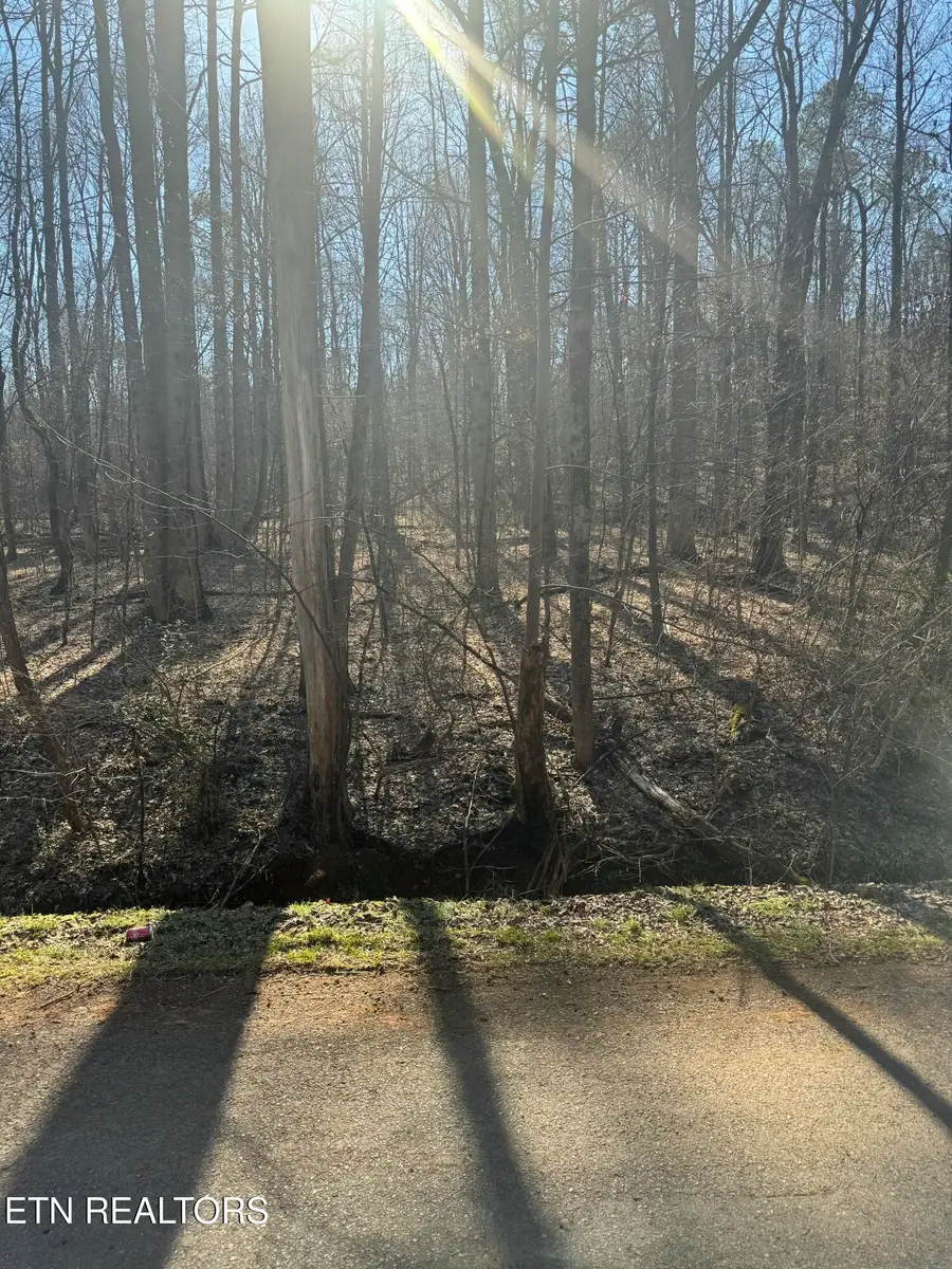 Randolph Fridley Rd, Sweetwater, TN 37874 - #3