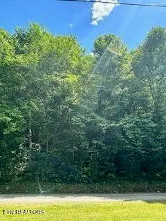 Lakeview Drive, Sevierville, TN 37876 - #1