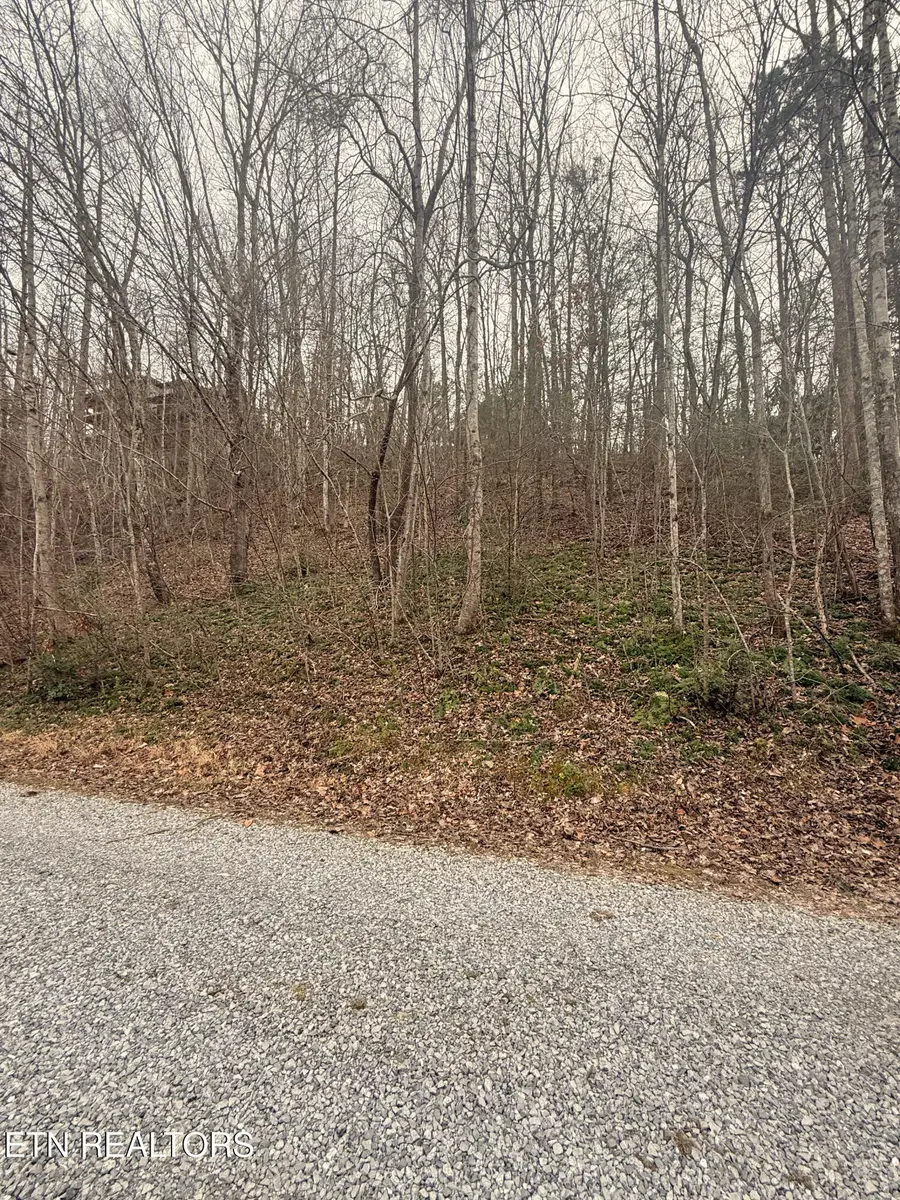 Lakeview Drive, Sevierville, TN 37876 - #3