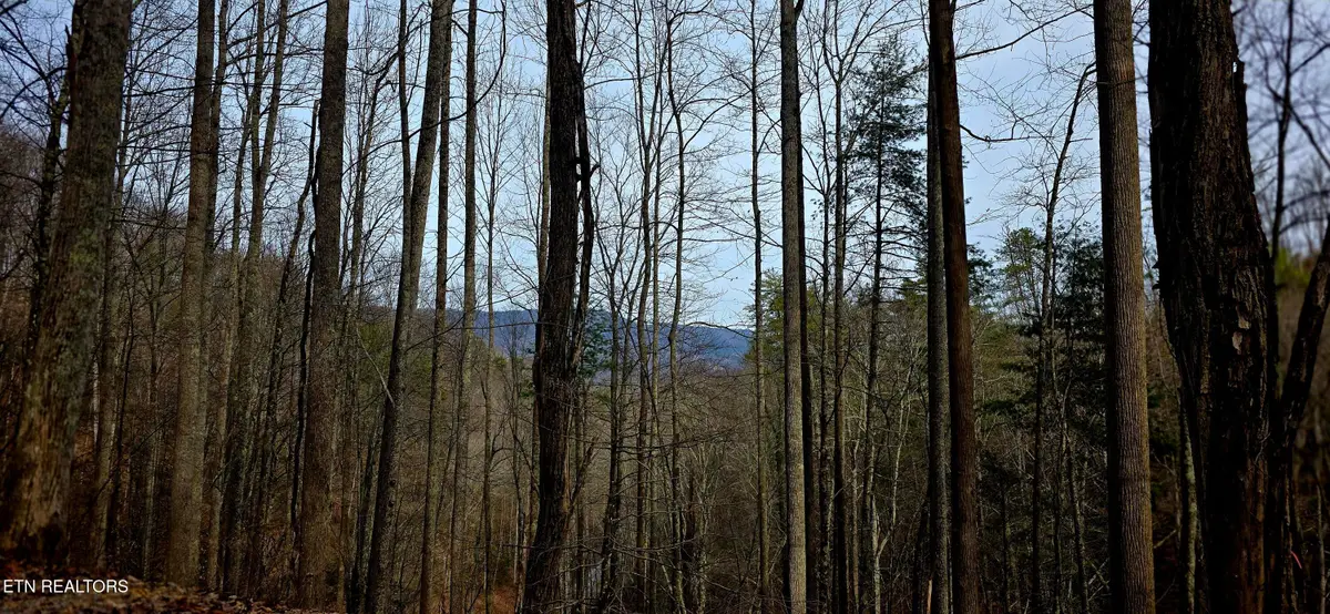 Emerald Springs Loop, Sevierville, TN 37862 - #1