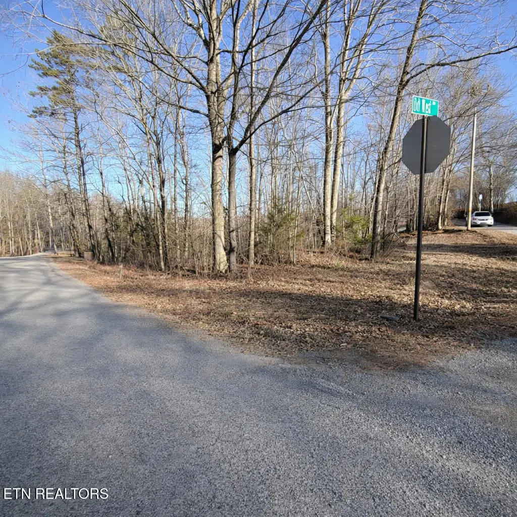 Lot 7 Bill West Rd, Ten Mile, TN 37880 - #1