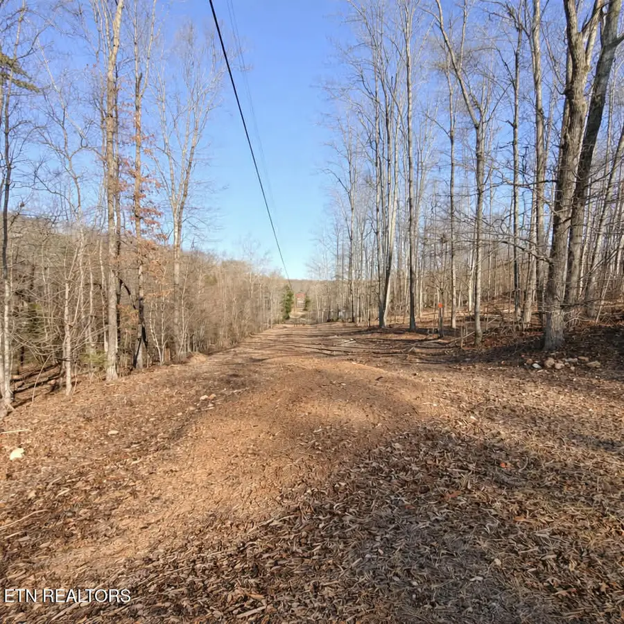 Lot 7 Bill West Rd, Ten Mile, TN 37880 - #3