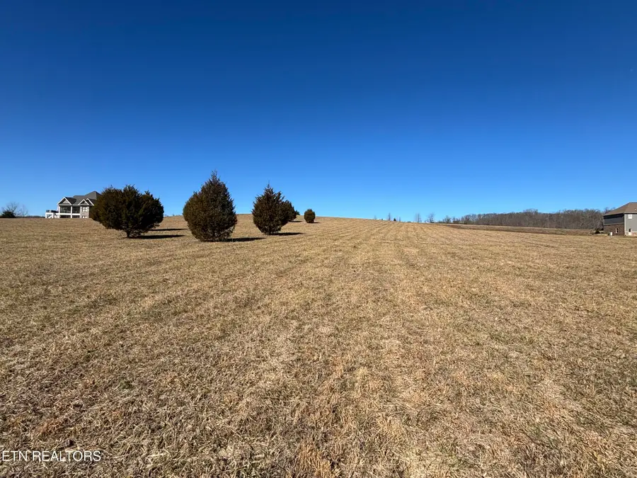 Pointe Vista Drive, Rockwood, TN 37854 - #2