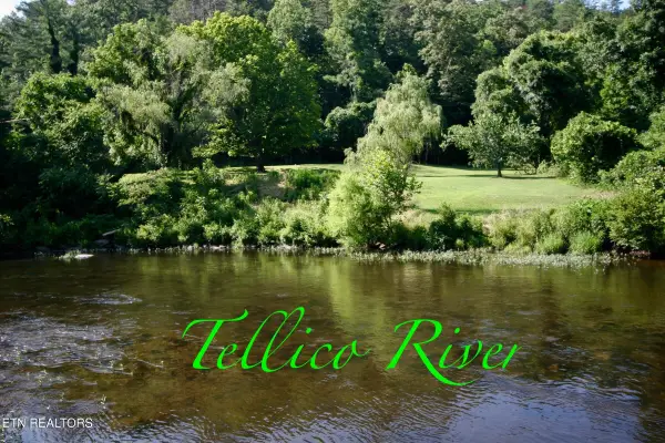 Rafter Rd, Tellico Plains, TN 37385