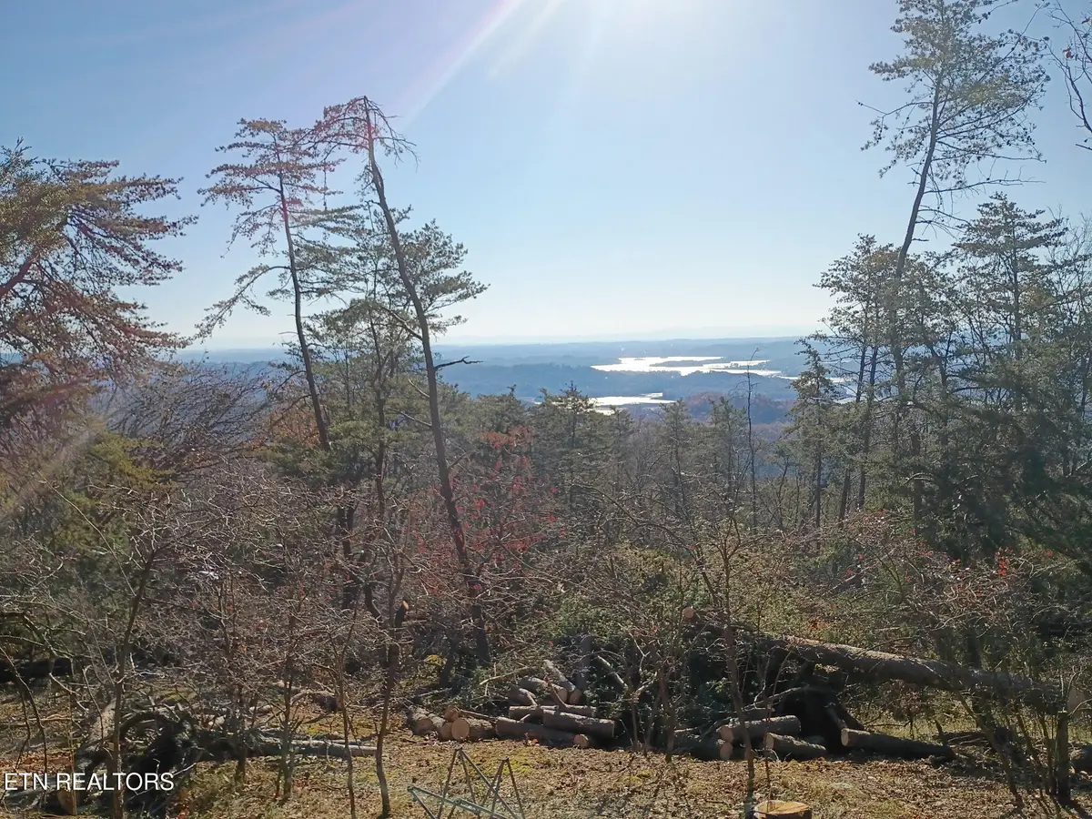 342 Wallen Lane, Thorn Hill, TN 37881 - #1