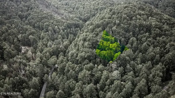 Stepping Stone Drive, Sevierville, TN 37862