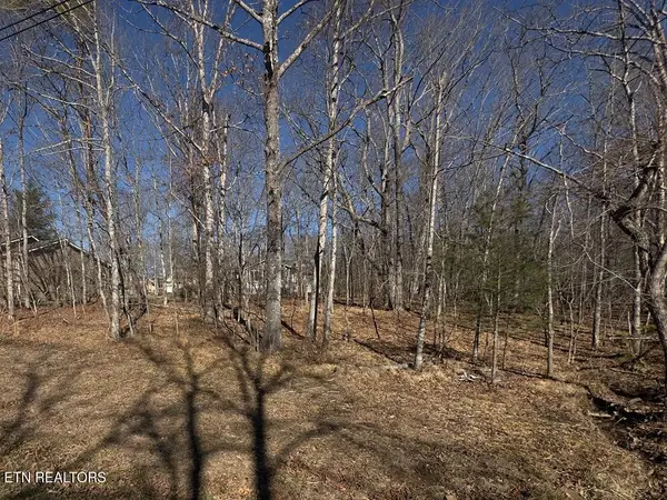 106 Hilton Lane, Crossville, TN 38558