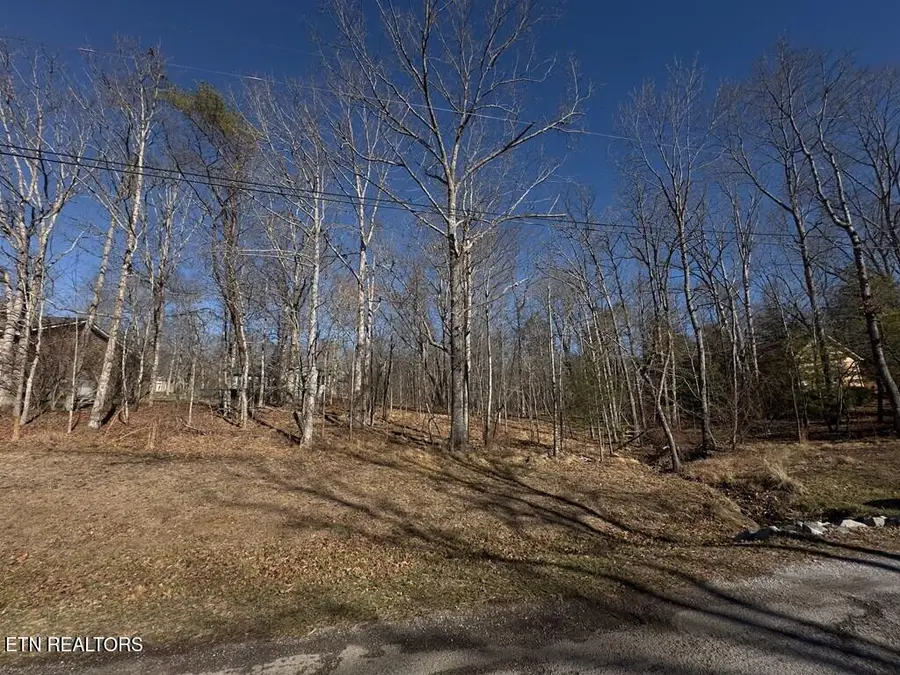 106 Hilton Lane, Crossville, TN 38558 - #2