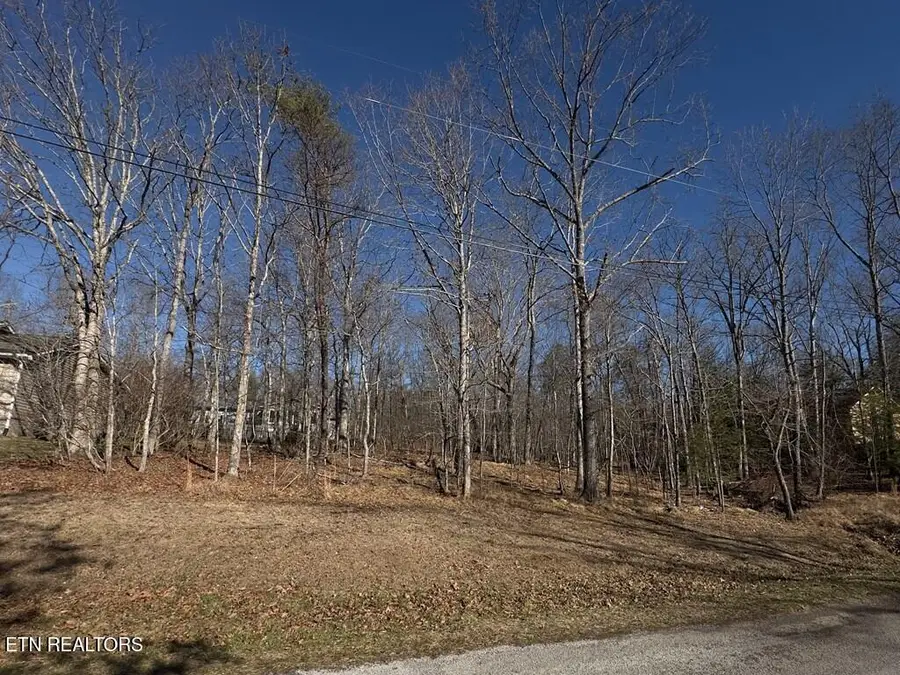 106 Hilton Lane, Crossville, TN 38558 - #3