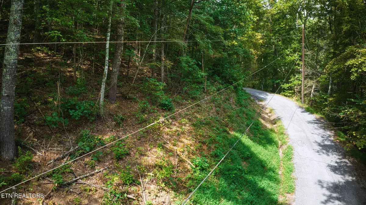 Lot 9 Stepping Stone Drive, Sevierville, TN 37862 - #1