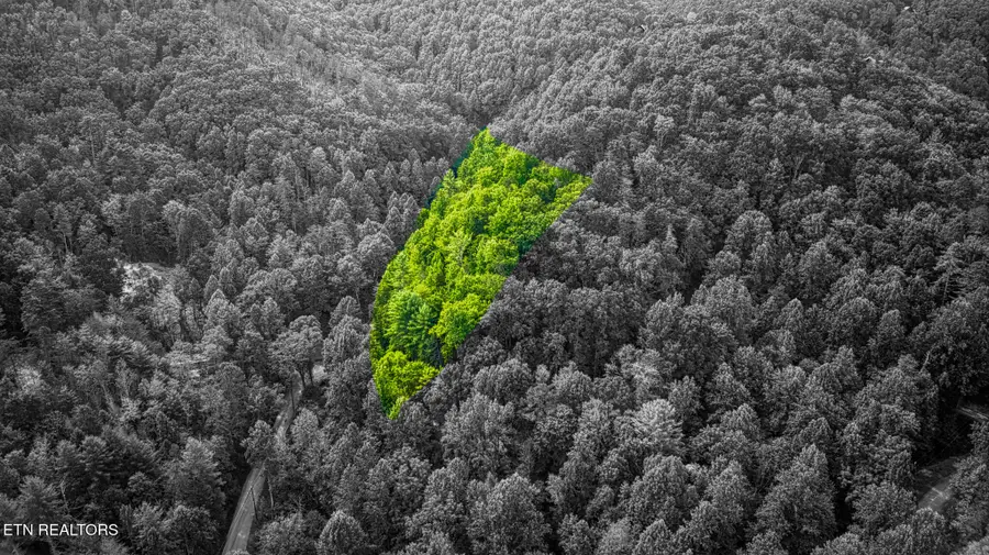 Lot 9 Stepping Stone Drive, Sevierville, TN 37862 - #3