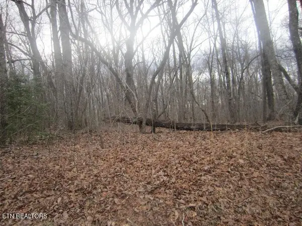 114 Folkstone Rd, Crossville, TN 38558