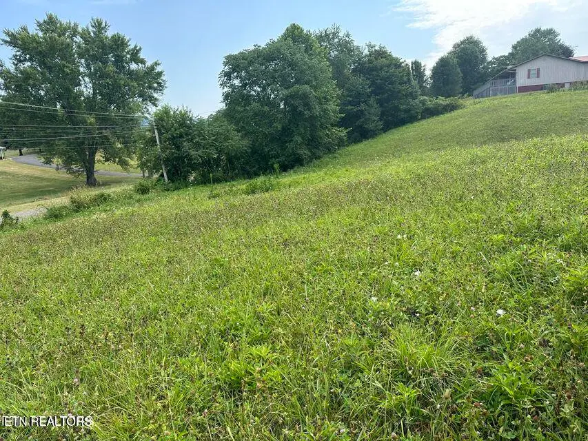 TBD Dr Thomas Walker Rd, Rose Hill, VA 24281 - #2