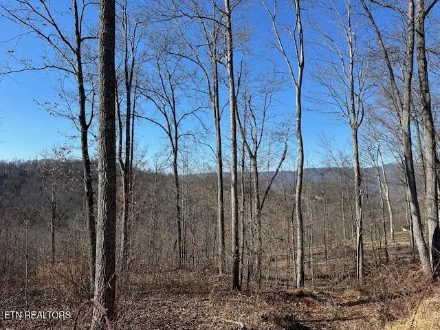 Dooley Hollow Rd, Ewing, VA 24248 - Image #1