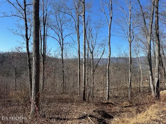 Dooley Hollow Rd, Ewing, VA 24248 - Image #2