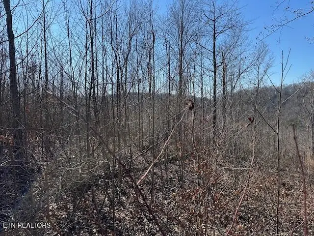 Dooley Hollow Rd, Ewing, VA 24248 - Image #3