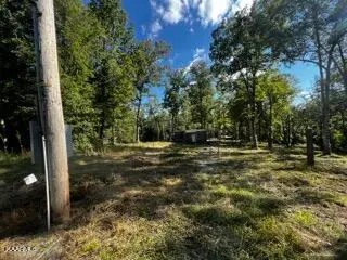 566 William Branch Rd, Lancing, TN 37770 - #1