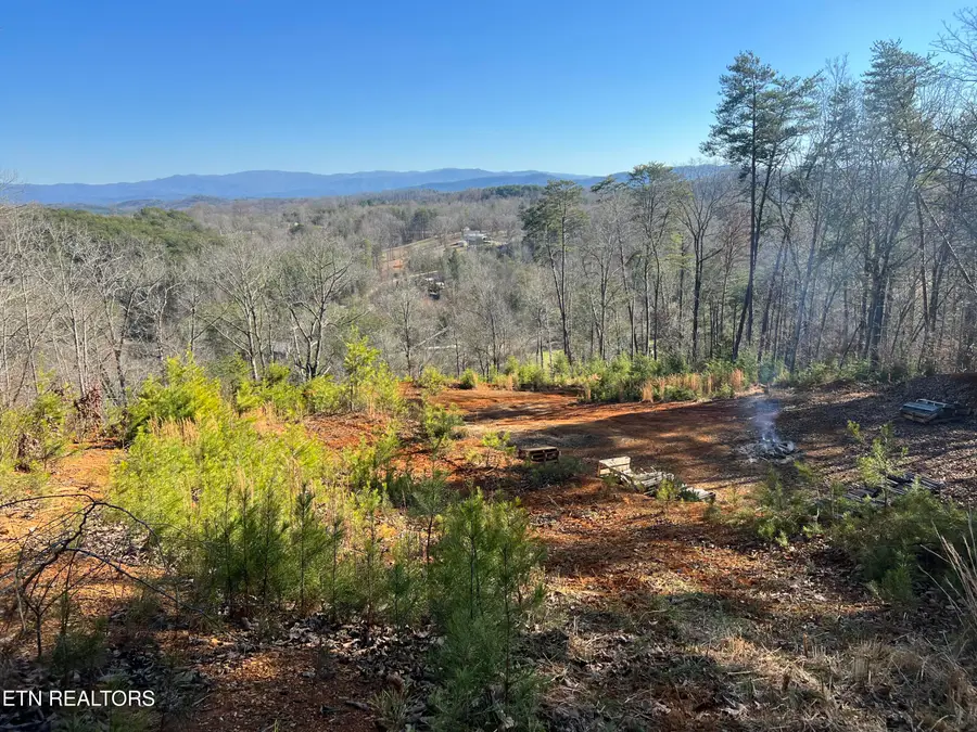 Griffith Branch Rd, Madisonville, TN 37354 - #2