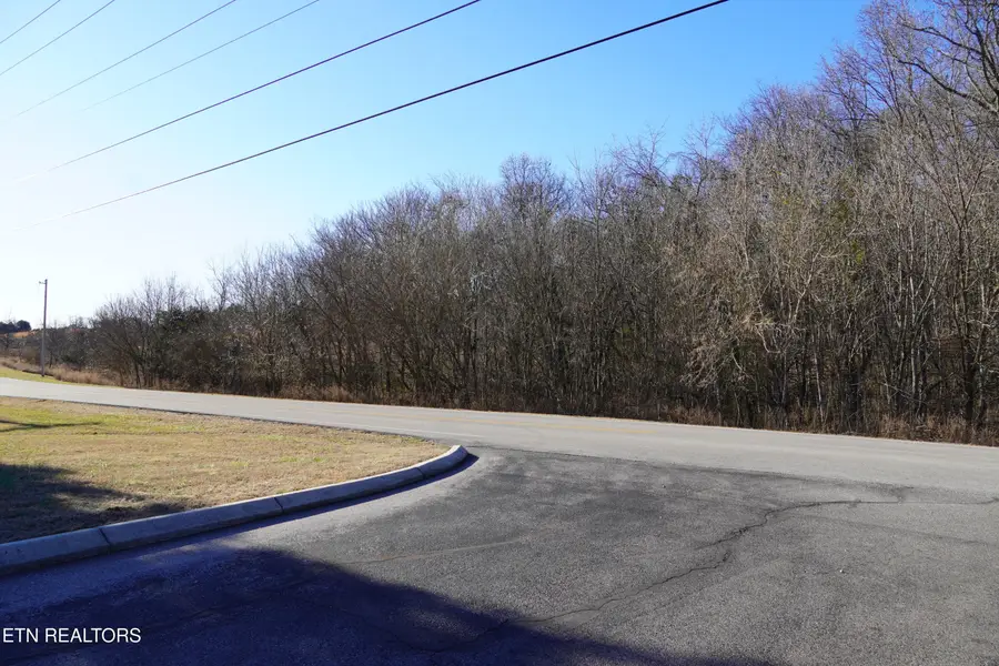 1600 New Hope Rd, Rockwood, TN 37854 - #3