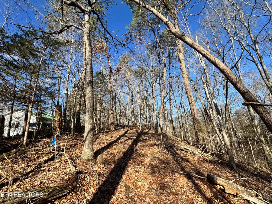 Deerfoot Rd, Cosby, TN 37722 - #3