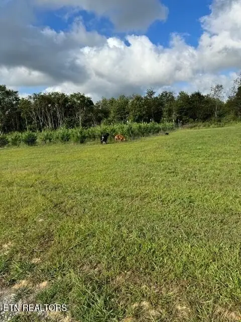 129 Rushing Springs Rd, Monterey, TN 38574 - #2