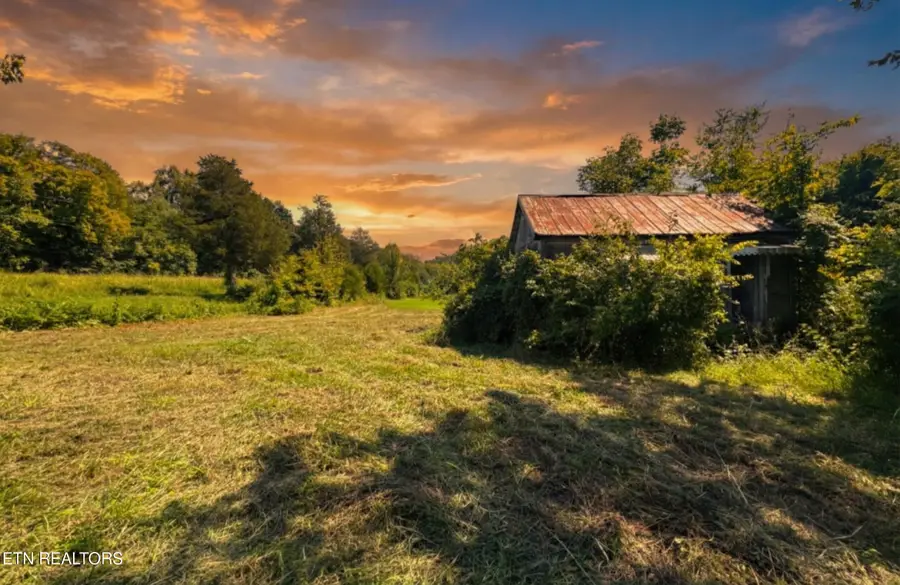 Leadvale Church Rd, White Pine, TN 37890 - #2