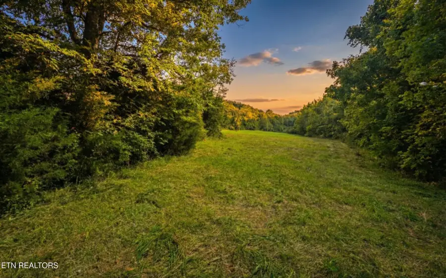 Leadvale Church Rd, White Pine, TN 37890 - #3