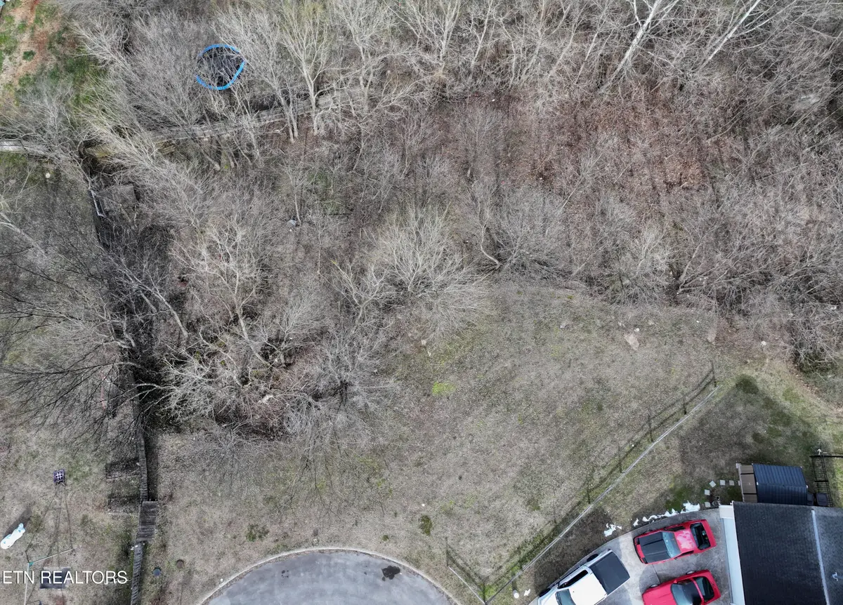 5606 Still Meadow Lane, Knoxville, TN 37918 - #1