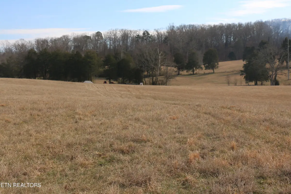 9.31 Acres Highway 39, Athens, TN 37303 - #1