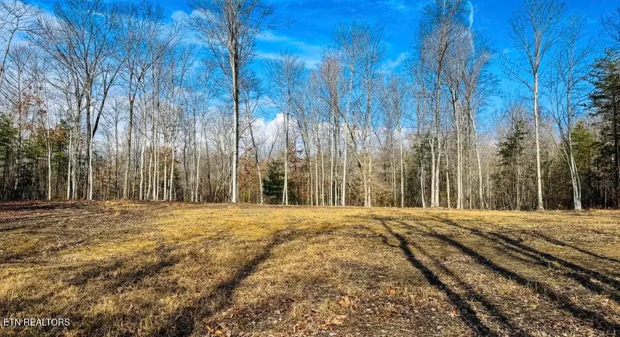 245 Old Beaty Pvt Rd, Winfield, TN 37892 - #3