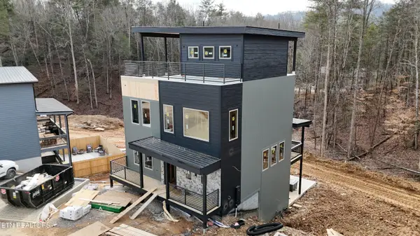 444 Hatchet Way, Pigeon Forge, TN 37863