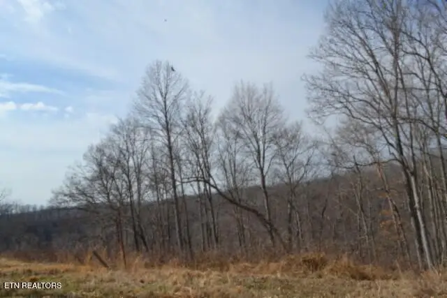 4.13ac Hush Hollow Lane, Baxter, TN 38544 - #2