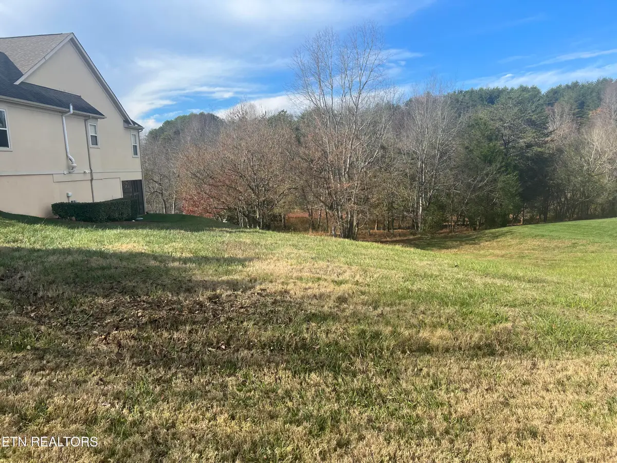 230 Morning Dove Drive, Vonore, TN 37885 - #1