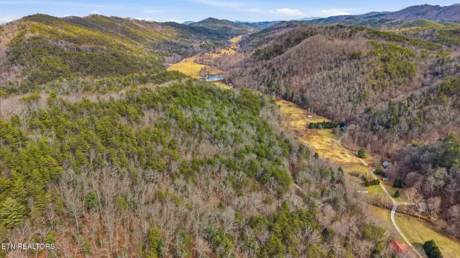 Steer Creek Rd, Tellico Plains, TN 37385 - #2