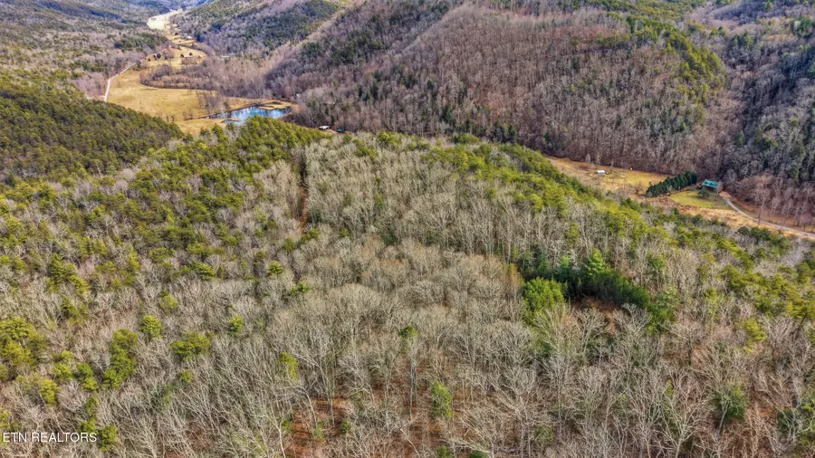 Steer Creek Rd, Tellico Plains, TN 37385 - #3