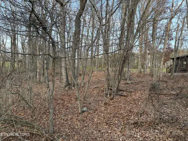 118 Baltusrol Rd, Fairfield Glade, TN 38558